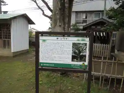 龍ケ崎八坂神社(茨城県)