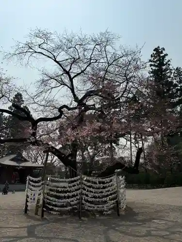 高麗神社(埼玉県)
