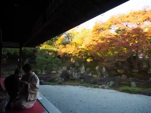 圓徳院の庭園