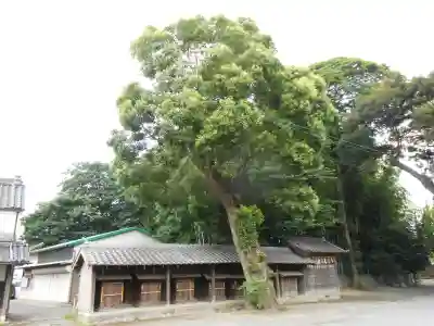 豊川進雄神社(愛知県)