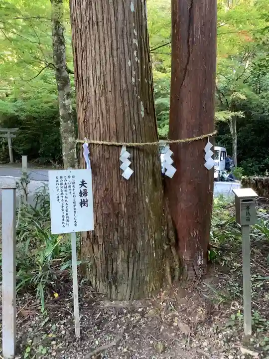 大矢田神社(岐阜県)
