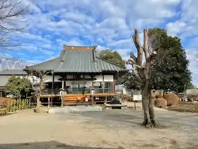 下野薬師寺 (旧 安國寺)(栃木県)