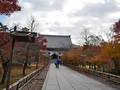  智積院のその他建物