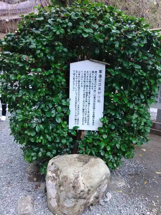 小國神社(静岡県)