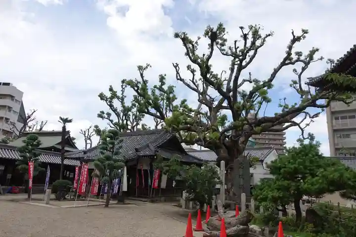 大念佛寺のその他建物