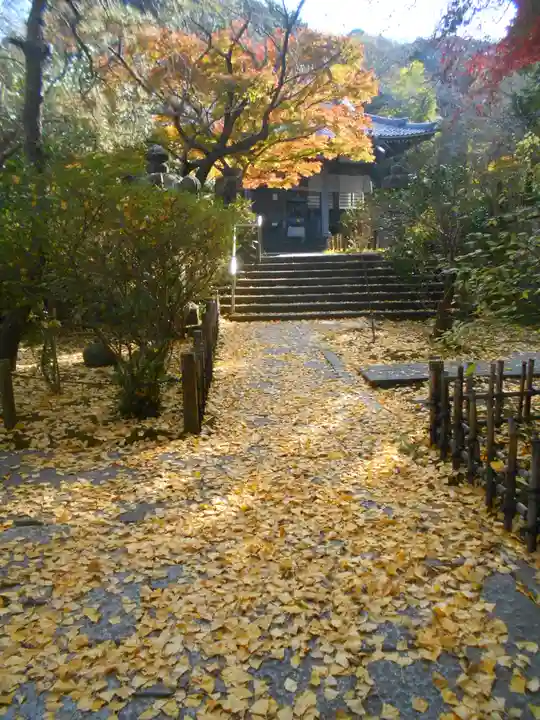 安國論寺(安国論寺)の自然