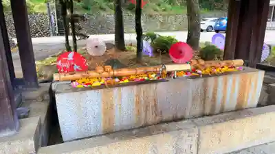群馬県護国神社(群馬県)