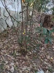 石内のお大師さん 金剛院(広島県)(2023年11月25日(土) 22時53分29秒投稿)