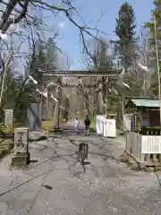 戸隠神社奥社の鳥居