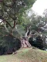 角田権現(千葉県)