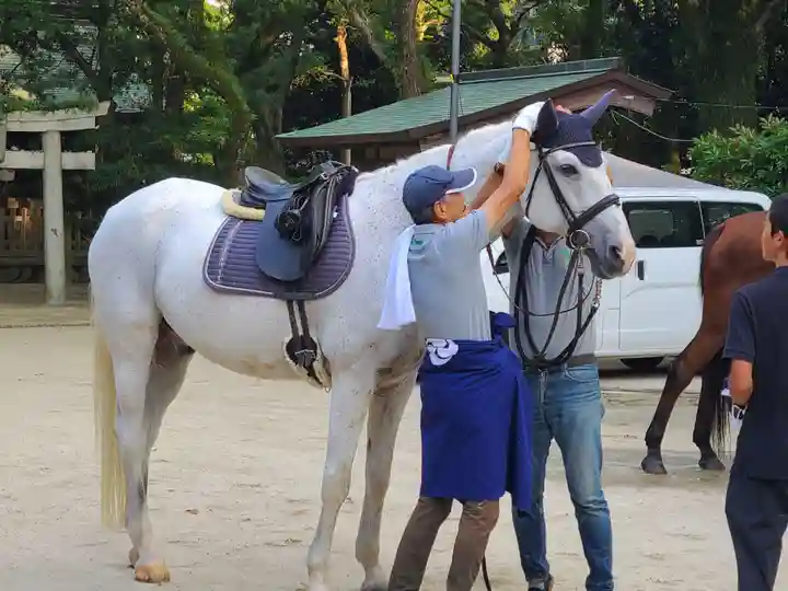 筥崎宮(福岡県)