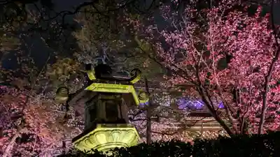 知恩院(京都府)