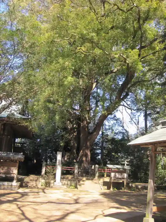 神崎神社(千葉県)