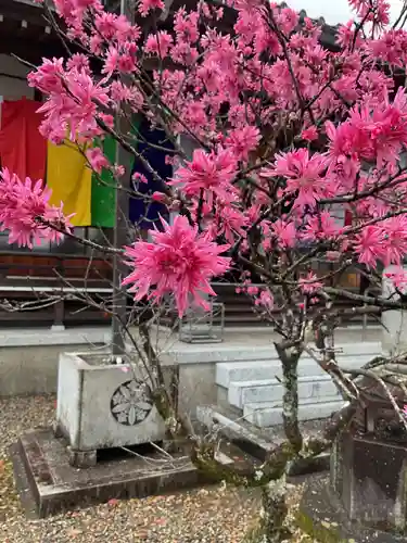 来昌寺(岐阜県)