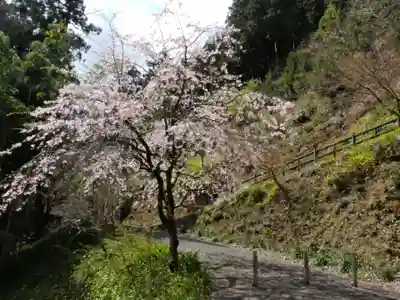 横蔵寺(岐阜県)