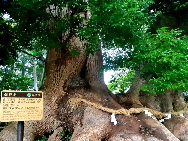 賀久留神社の自然