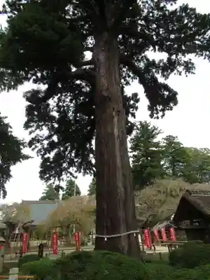 六地蔵寺(茨城県)