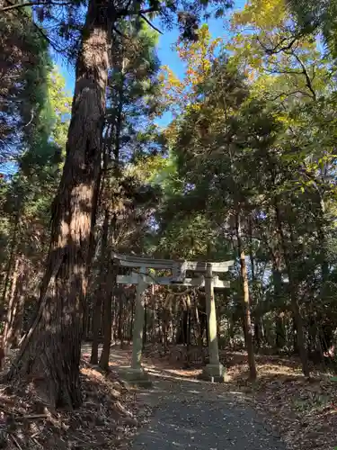 白幡神社(千葉県)