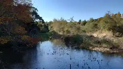 石神井氷川神社の周辺