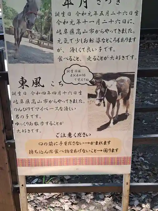 平塚八幡宮(神奈川県)