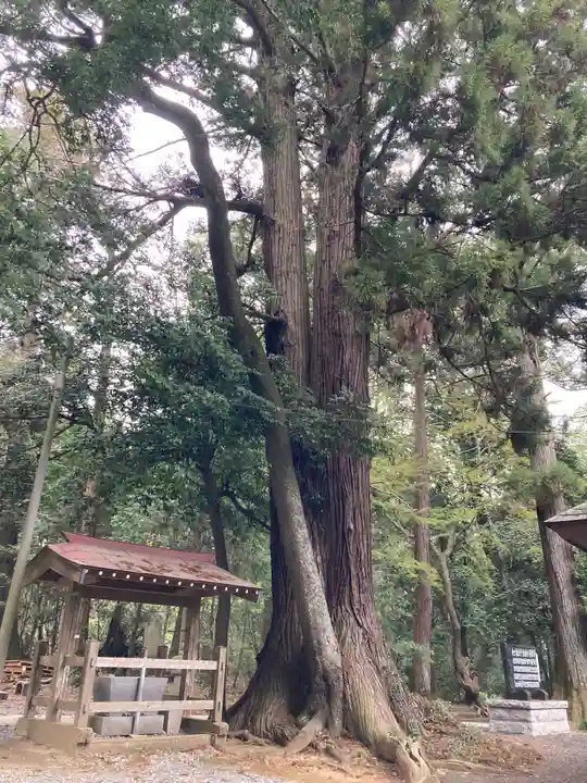 鴨鳥五所神社(茨城県)
