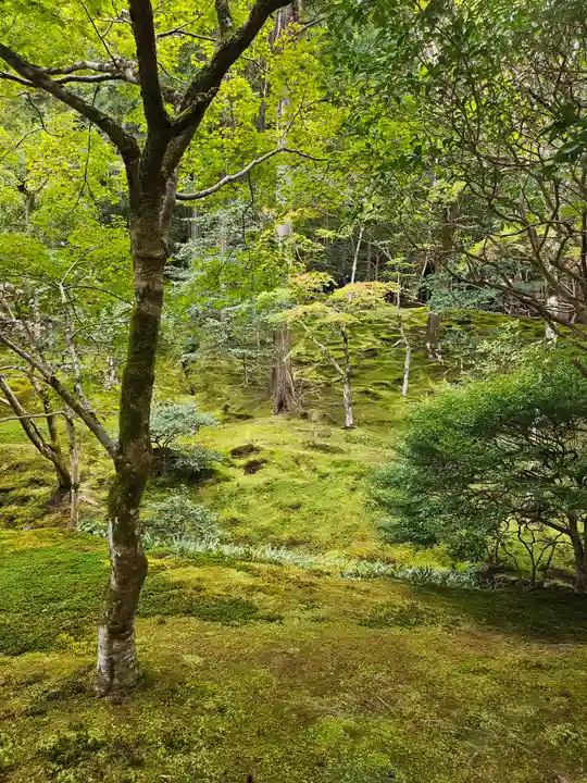 慈照寺(慈照禅寺・銀閣寺)(京都府)