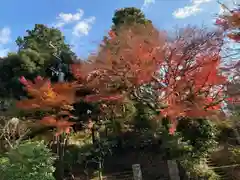 浄妙寺(神奈川県)