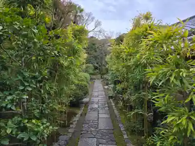 妙智院(京都府)