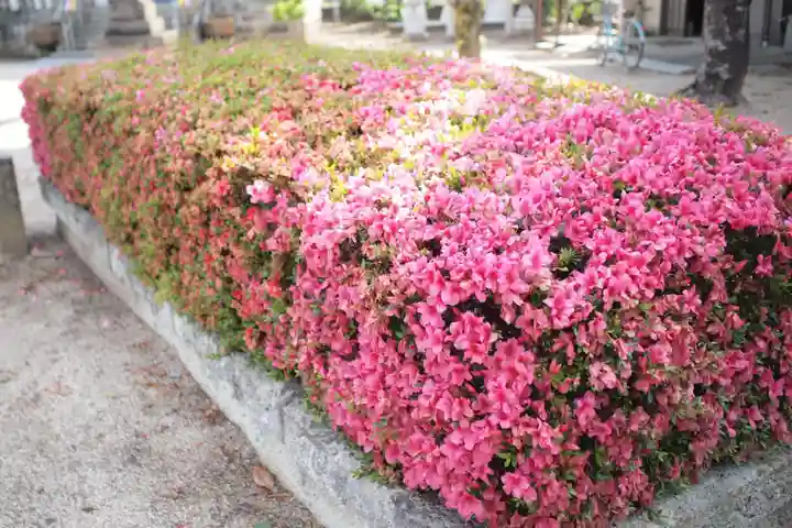春日神社の自然