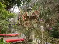 安國論寺(安国論寺)の自然