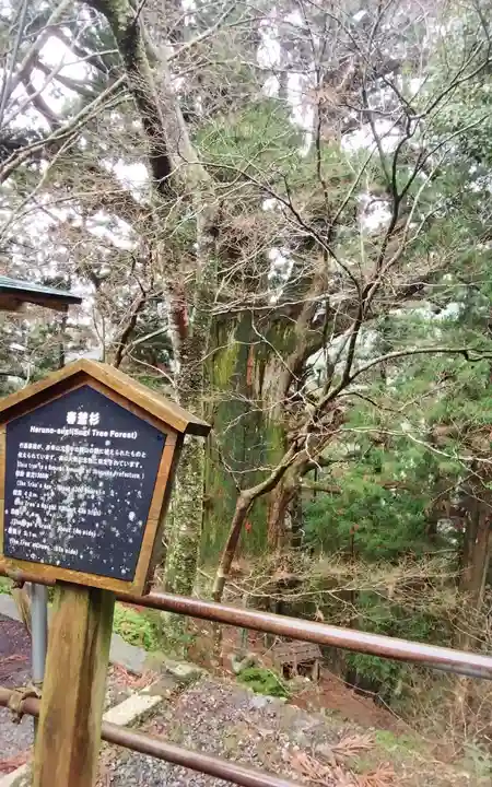 大光寺(静岡県)