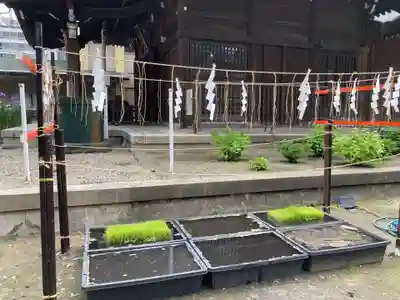 磐井神社(東京都)