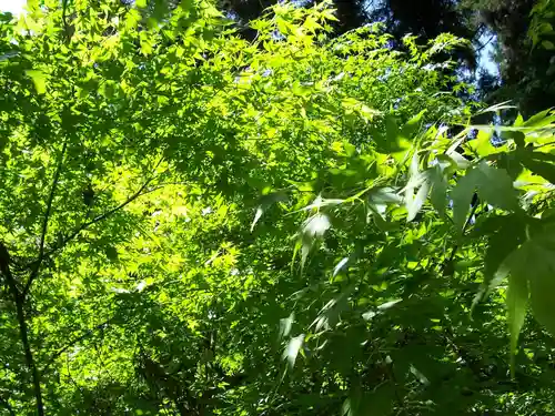 満願寺(栃木県)