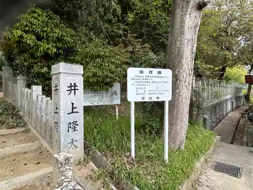 飾西大年神社(兵庫県)