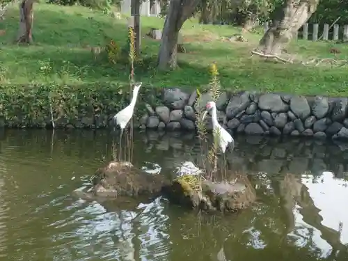 宗像神社(埼玉県)