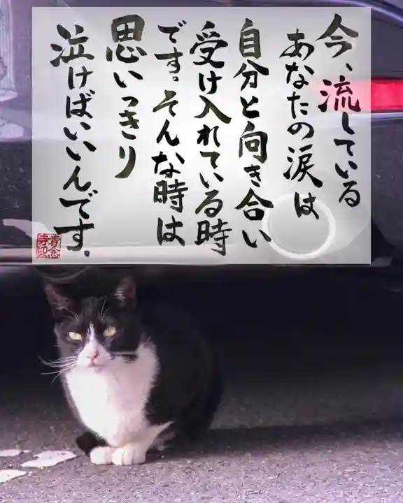 専念寺(大阪府)