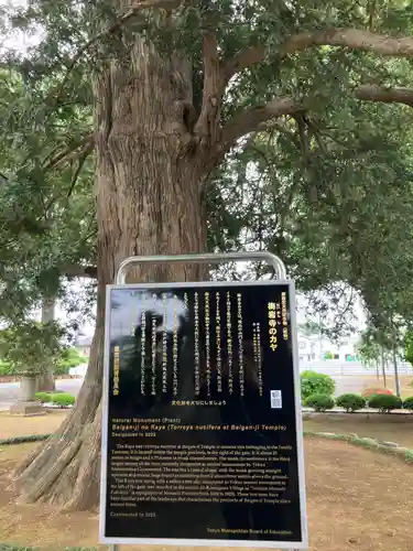 梅岩寺(東京都)