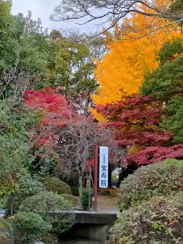 宝寿院の自然