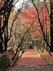 鶏足寺(滋賀県)