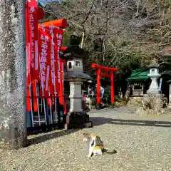 牟呂八幡宮(愛知県)