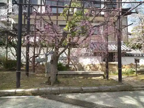 阿智神社の庭園