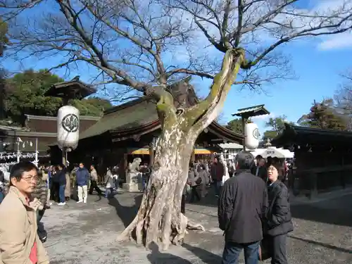 尾張大國霊神社（国府宮）(愛知県)