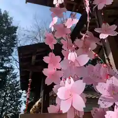 滑川神社 - 仕事と子どもの守り神(福島県)