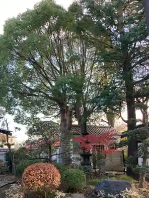 海前寺(神奈川県)