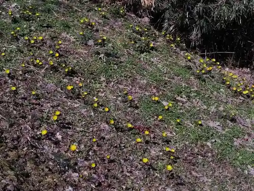 正観音堂(福島県)