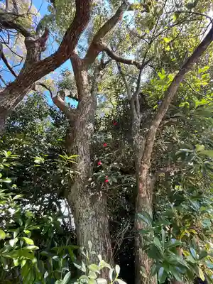 城南宮(京都府)