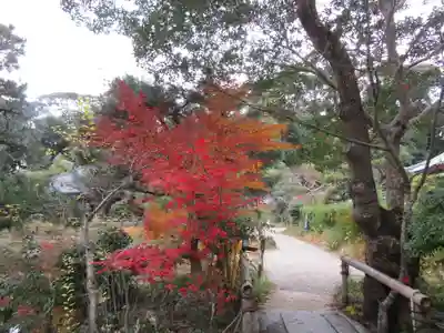 浄瑠璃寺(京都府)