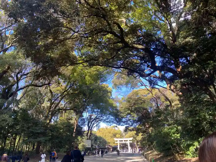 明治神宮(東京都)