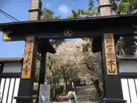 時宗総本山 遊行寺(正式:清浄光寺)の山門・神門
