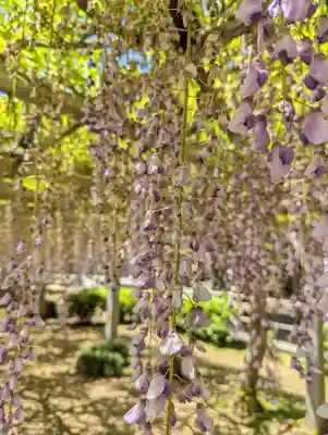 三大神社(滋賀県)